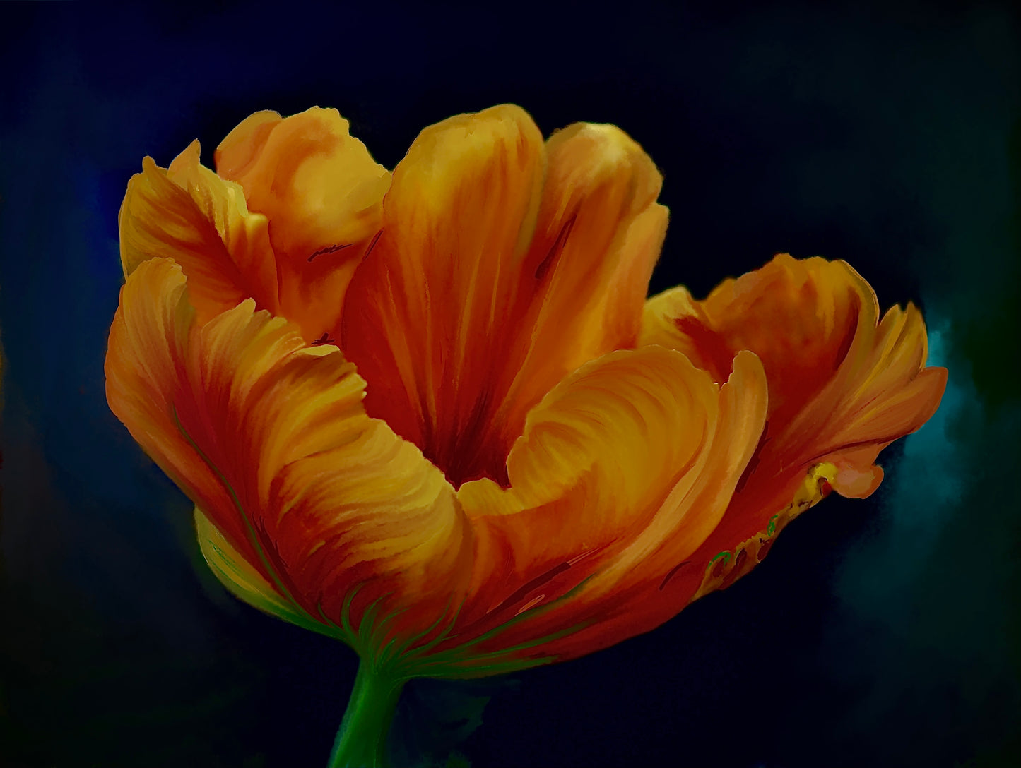 Orange Hues