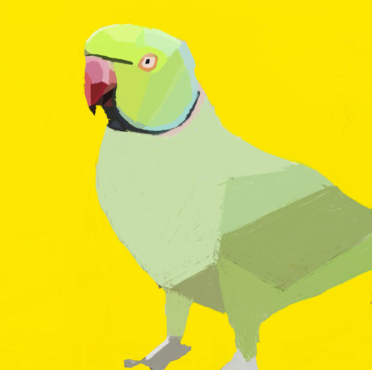 Feathers of Enchantment: A Kaleidoscope of Parrot's Delight