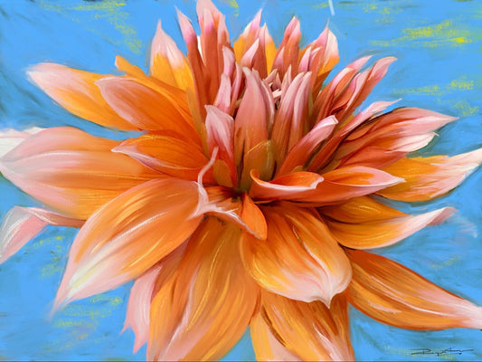 Lotus in the water