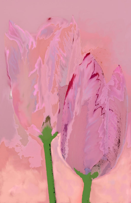 Pink flowers fading