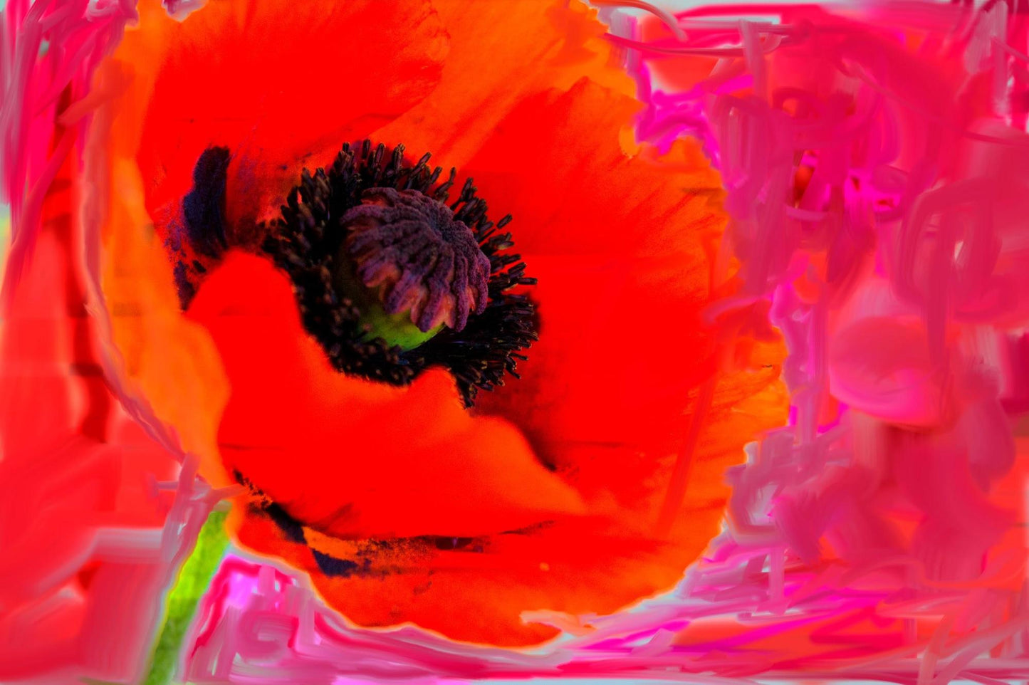 Flower bomb